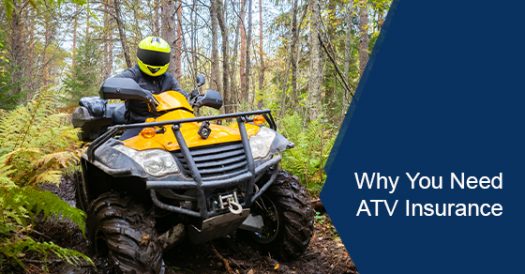 Why You Need ATV Insurance | W.B. White Insurance Ltd